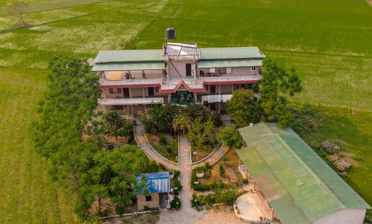 Hotel Tree Tops Sauraha Kültér fotó